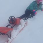 Img 0991