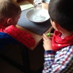 Img 1174