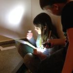 Img 1294