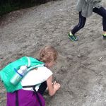 Img 1762