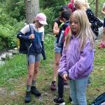 Img 2076