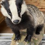 Image00016