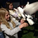 Img 1517