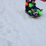 Img 3319