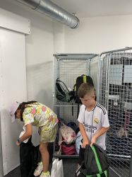 Img 1848