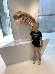 Img 1838