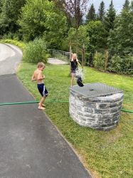 Img 1858