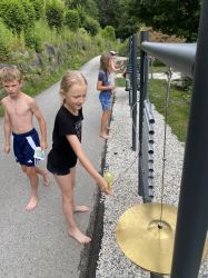 Img 1875