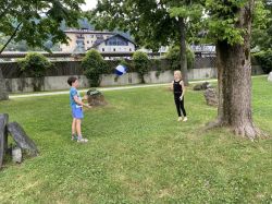 Img 2064