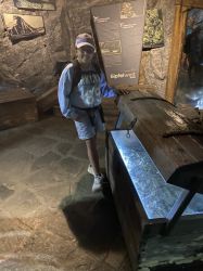 Img 1760