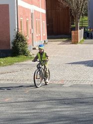 Img 1419