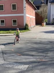 Img 1421