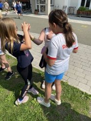 Img 1583