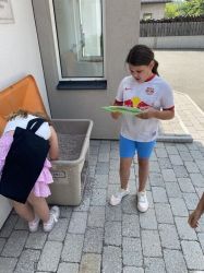 Img 1586