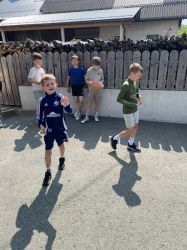Img 1587
