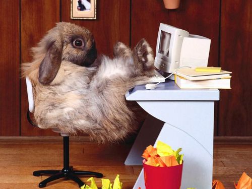 ostern1.jpg