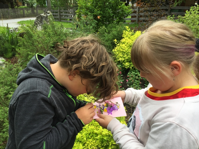 Auf der Blumenwiese hinterm Haus