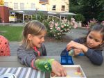 Img 9318