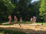 Img 9334