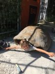 Img 9364