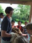 Img 9381