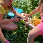 Img 4849