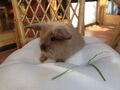 thumb img 0103