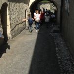 Img 0536
